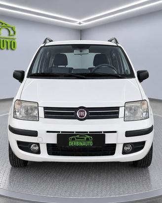 Fiat Panda 1.2 Dynamic Natural Power