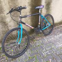 Bicicletta Mountain Bike da uomo 
