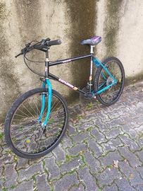 Bicicletta Mountain Bike da uomo 