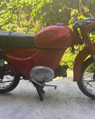 Moto guzzi zigolo