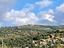 Immagine 15