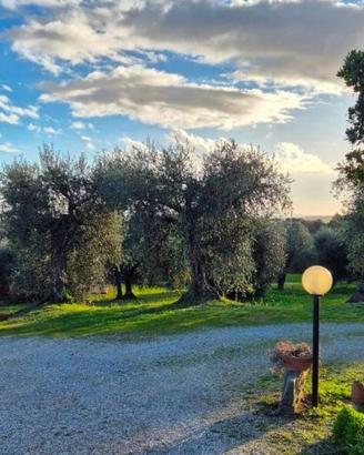 Rustico / Casale di 129 m² con 3 locali e box auto