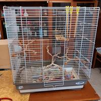 gabbia imac x pappagalli 