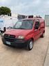 fiat-doblo-1-9jtd-isotermico-coibentato