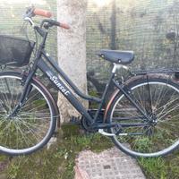 Bicicletta City bike da donna