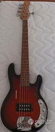 Basso Eko mm305