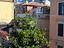 Immagine 13