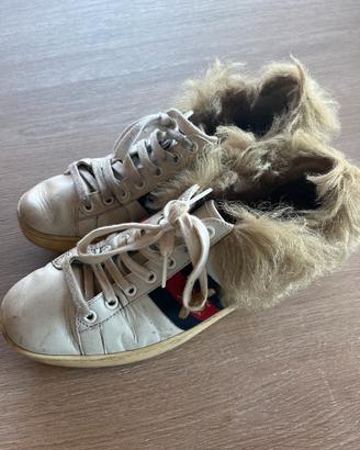 Sneakers Gucci