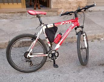 Mountain bike lombardo Sestriere 270