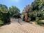 Immagine 29