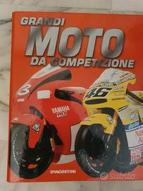 Raccoglitore Grandi moto da competizione etc