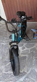 Bici elettrica 