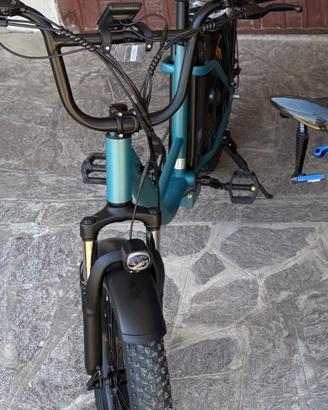 Bici elettrica 