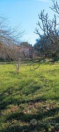 Terreno con Casa da Ristrutturare