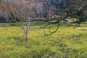 Terreno con Casa da Ristrutturare
