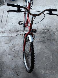 bicicletta 