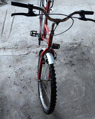bicicletta 