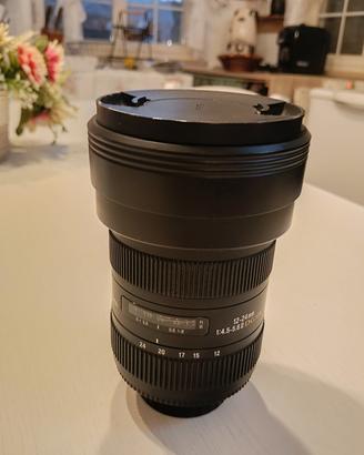 sigma 12/24 II serie 
