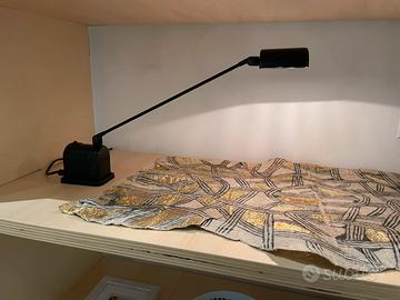 Daphinette Lumina Tommaso Cimini