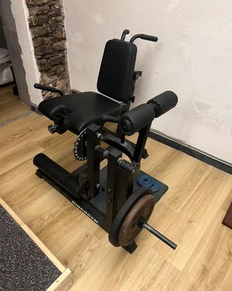 Leg extension/ Leg curl
