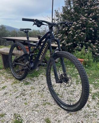 MTB Specialized
