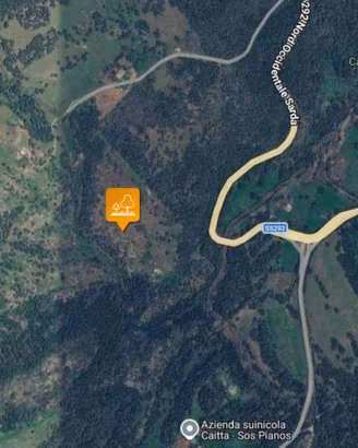 Immobile in asta di 84072 m² a Villanova Monteleon