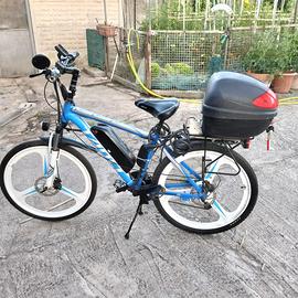 Bicicletta elettrica (pedalata assistita)