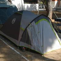 tenda Coleman Darwin 3+