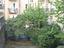 Immagine 5