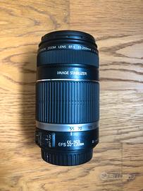 Canon EF-S 55-250mm f.4 IS (Image Stabilizer)