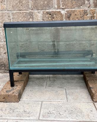 Acquario per pesci