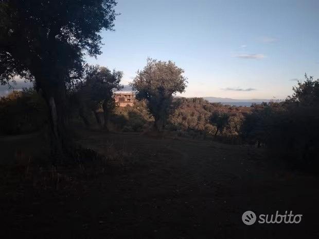 Terreno agricolo - Vista 3