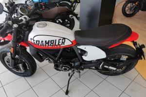 Ducati scrambler 800