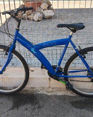 Bicicletta