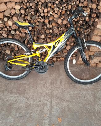 bicicletta  ruota 24