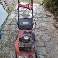 Tagliaerba EFCO AR 53 TB