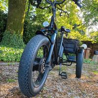 bicicletta elettrica tre ruote 