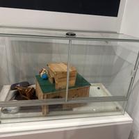 Teca per animali esotici e rettili