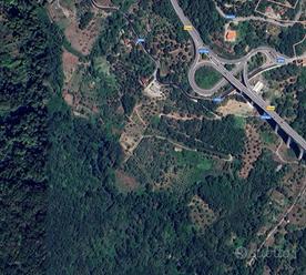 Vendiamo terreno di 47000 metri quadri in Cilento