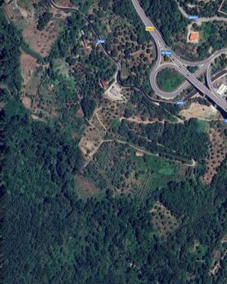Vendiamo terreno di 47000 metri quadri in Cilento