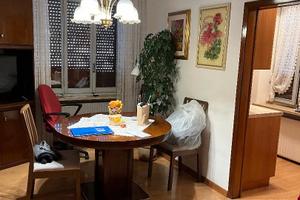 Appartamento trilocale Sedico