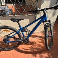 Bici mountain bike Bergamont