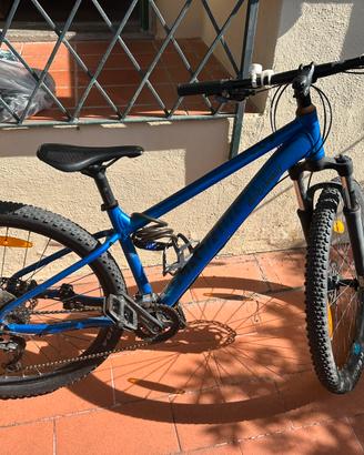 Bici mountain bike Bergamont