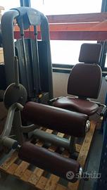 leg curl Technogym selection usato