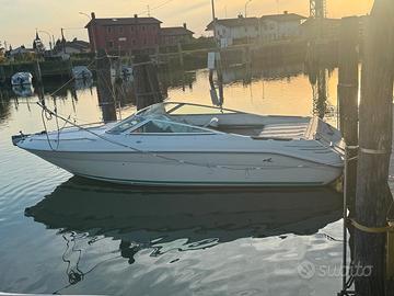 Motoscafo Sea Ray 220