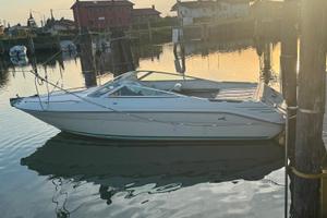 Motoscafo Sea Ray 220