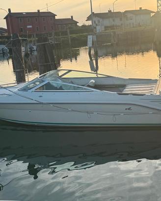 Motoscafo Sea Ray 220