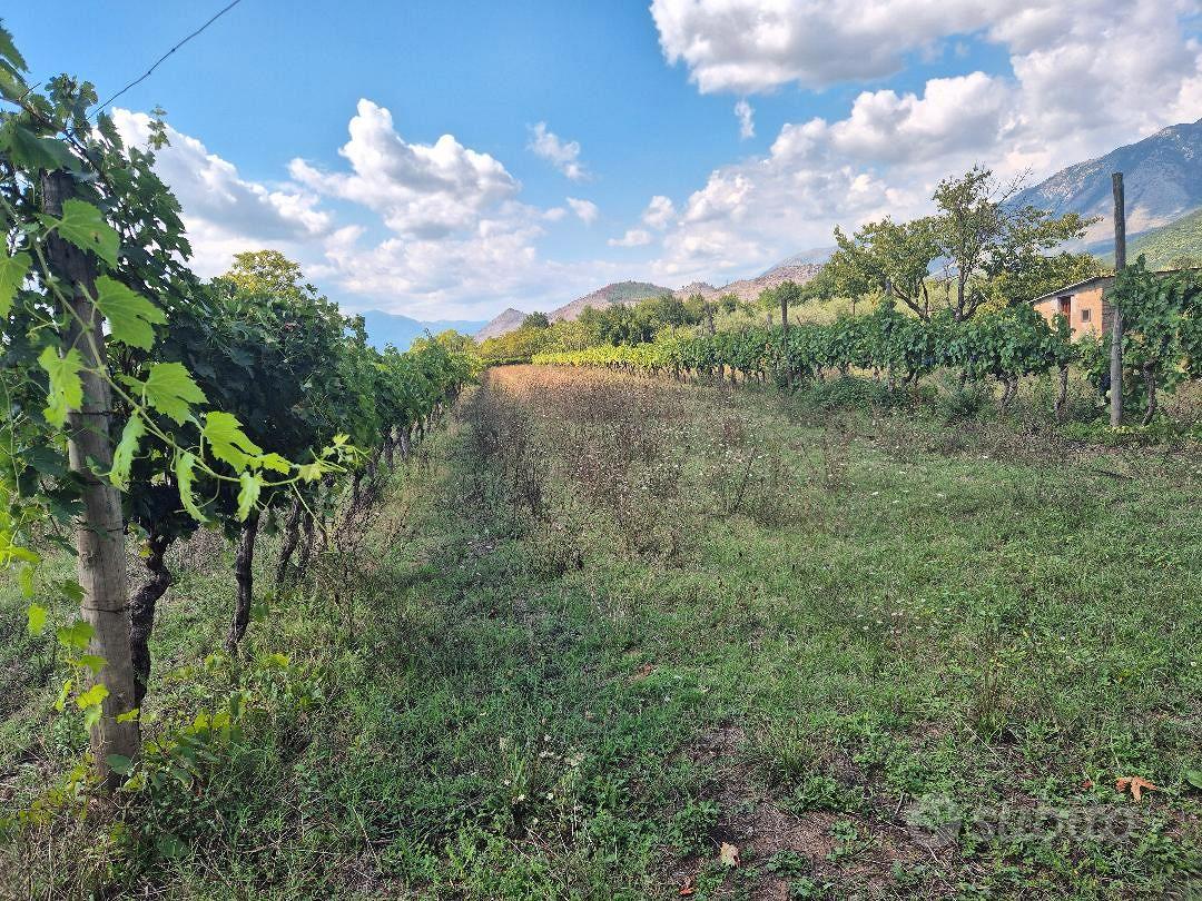 N. 2 fabbricati su terreno con vigna ca. 8.500 mq - Vista 6