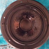 Woofer Sonus Faber electa amator 1