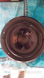 Woofer Sonus Faber electa amator 1